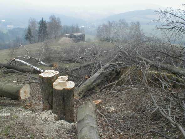 Příkop dolu 2 – kopie.JPG