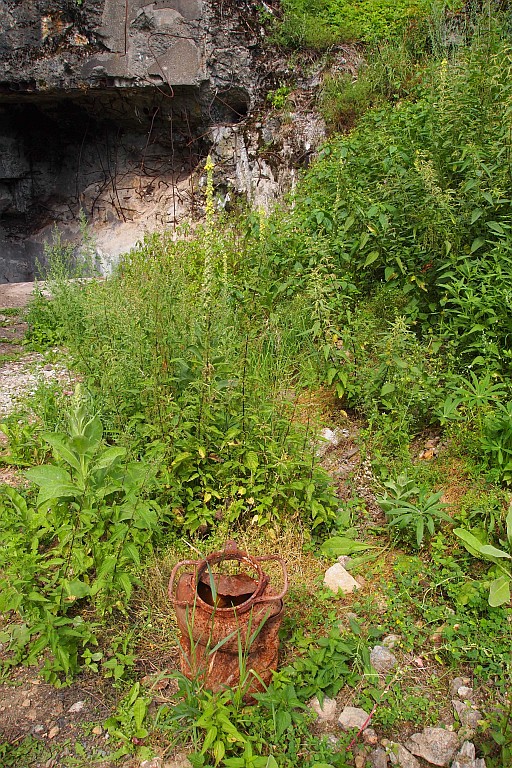 P8051969.JPG