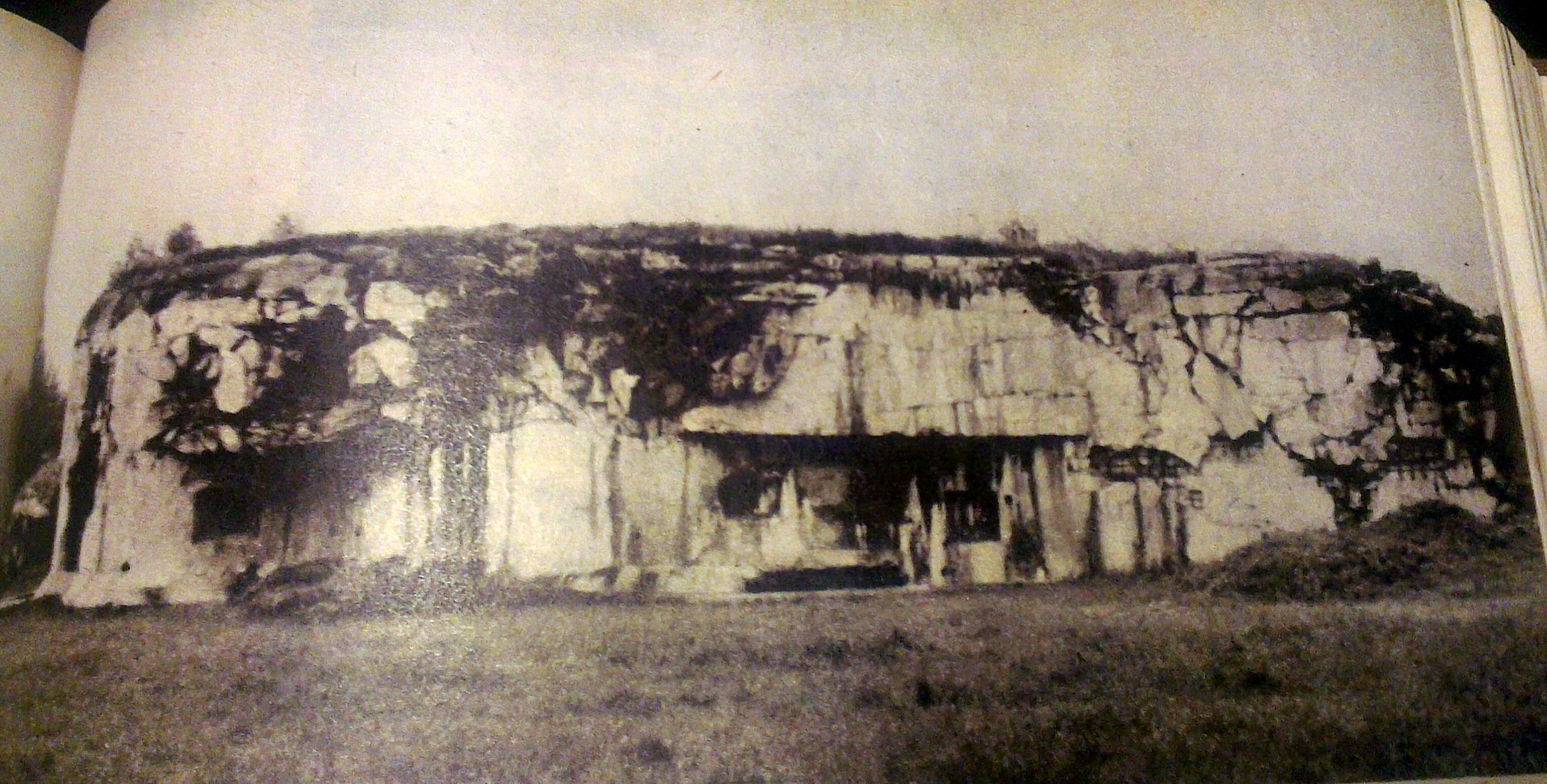 IMAG1303.jpg